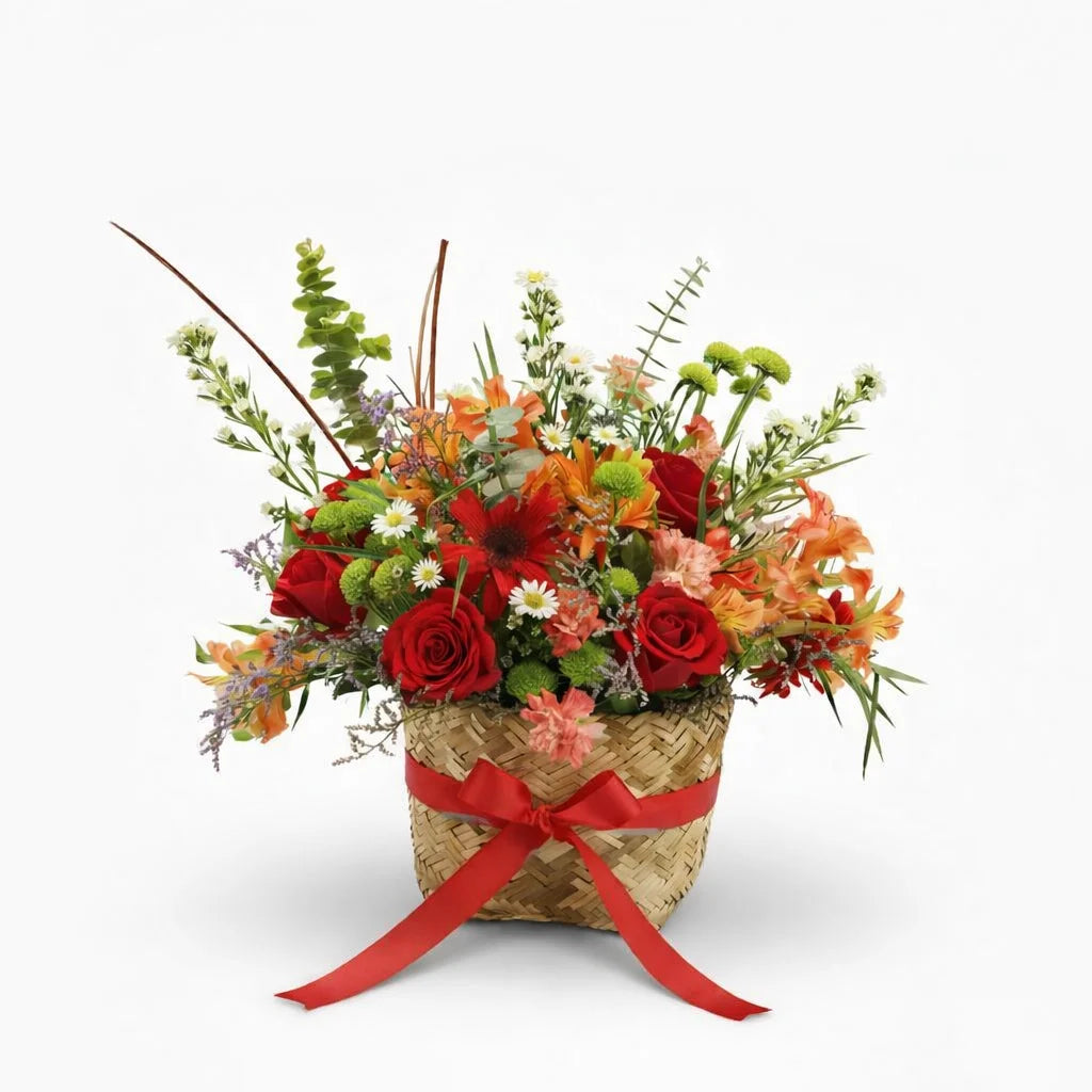 Canasta comprensión