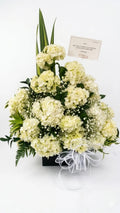 Hortensias de luz