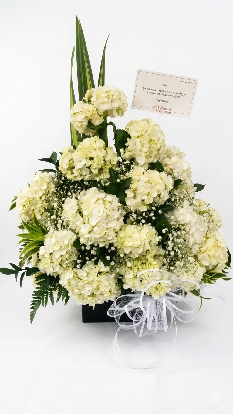 Hortensias de luz