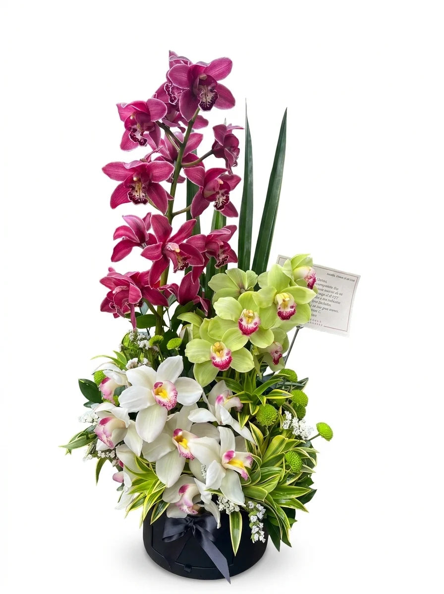 Arreglo en simbidium